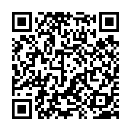 QR code for VYS619