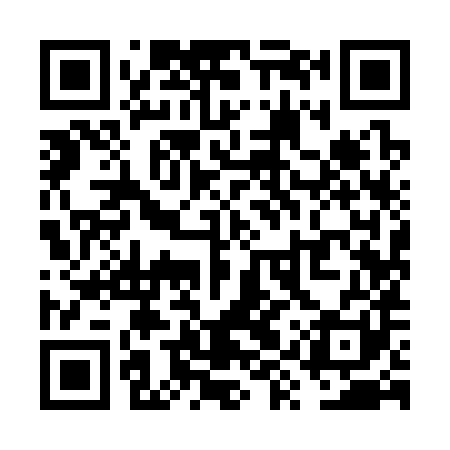 QR code for VYY381