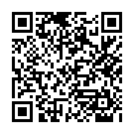 QR code for VZL497