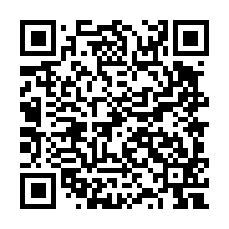 QR code for VZM493