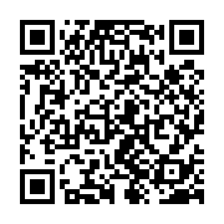 QR code for VZO538