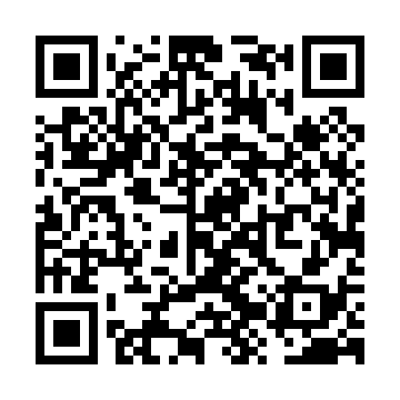 QR code for VZT038