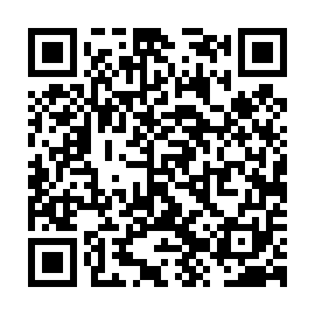 QR code for VZT451
