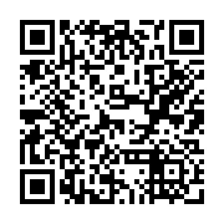 QR code for WLN333