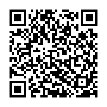 QR code for WPI311