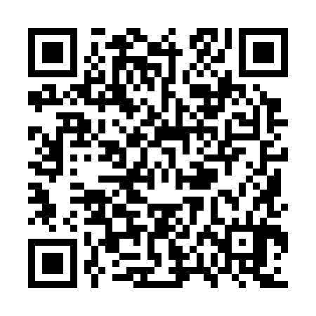 QR code for WPI384