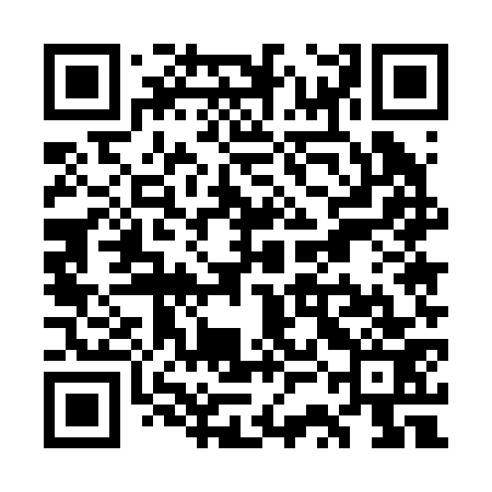 QR code for WSE273