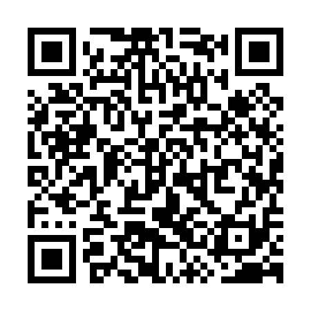 QR code for WSI011