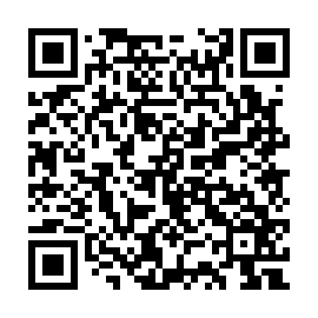 QR code for WSP166