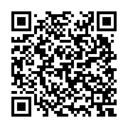 QR code for WSP656