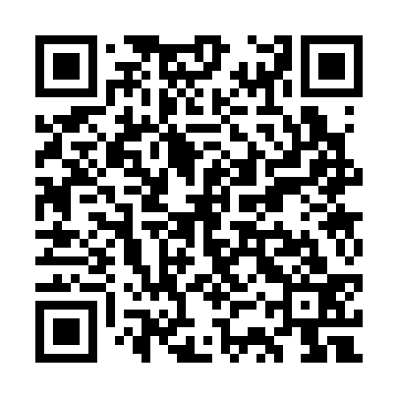 QR code for WSS333