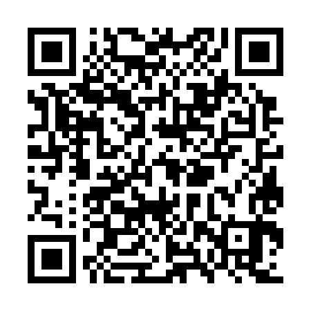 QR code for WXW383