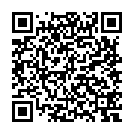 QR code for WYJ918
