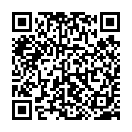 QR code for WYS691