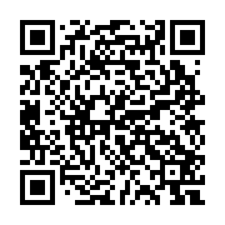 QR code for WZC303