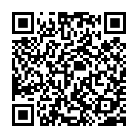 QR code for WZS489