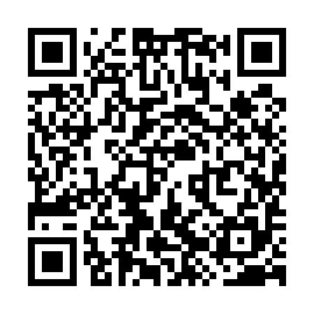 QR code for WZY595