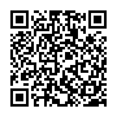 QR code for WZY975