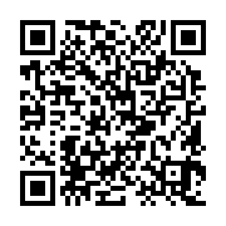 QR code for XAM381