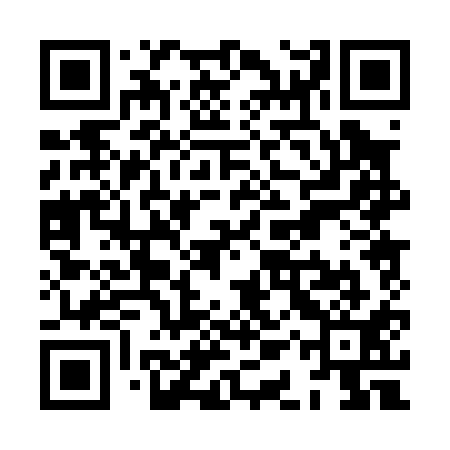 QR code for XAP011