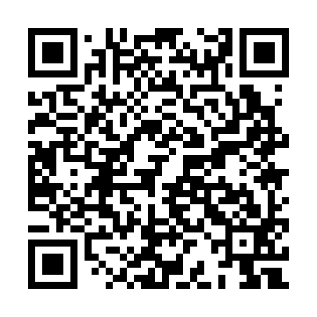 QR code for XBA393
