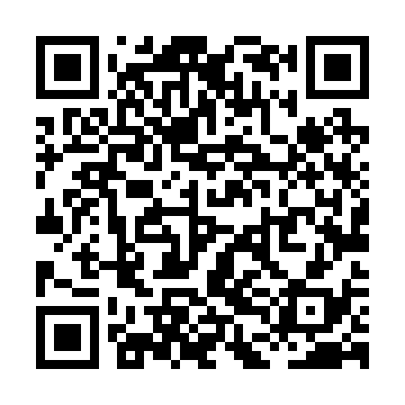 QR code for XDL238