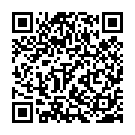 QR code for XDN411