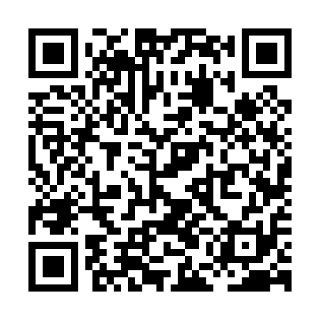 QR code for XEF011