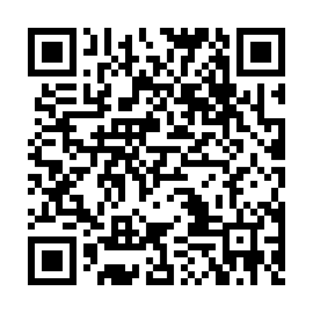 QR code for XEL384