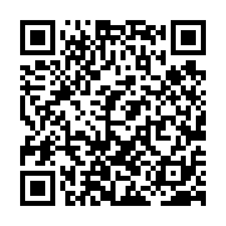 QR code for XEL611