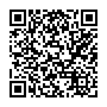 QR code for XFL249
