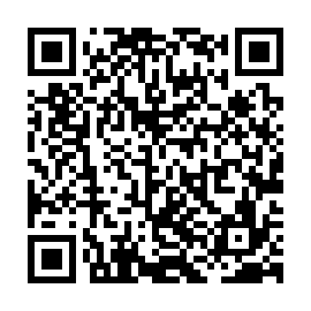 QR code for XFL336
