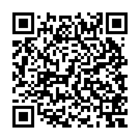 QR code for XGD208