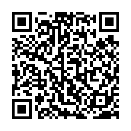 QR code for XGE611