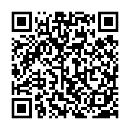 QR code for XGJ601