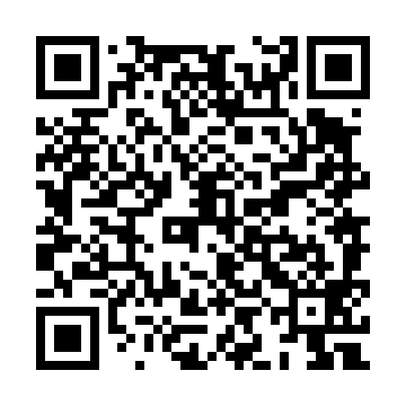 QR code for XIN499