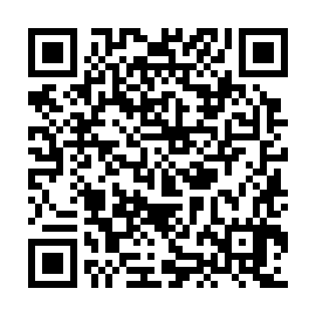 QR code for XJK387