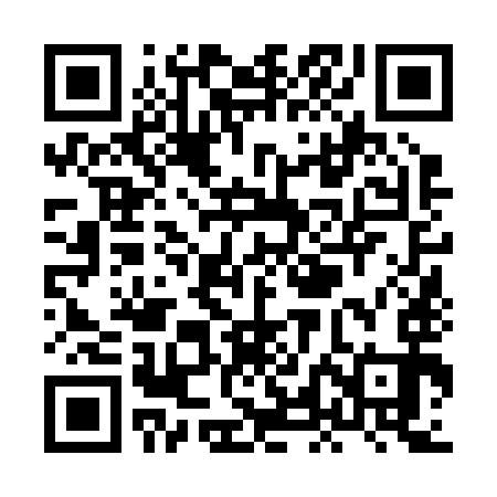 QR code for XLN293