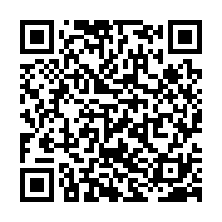 QR code for XLO331