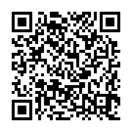 QR code for XNZ383