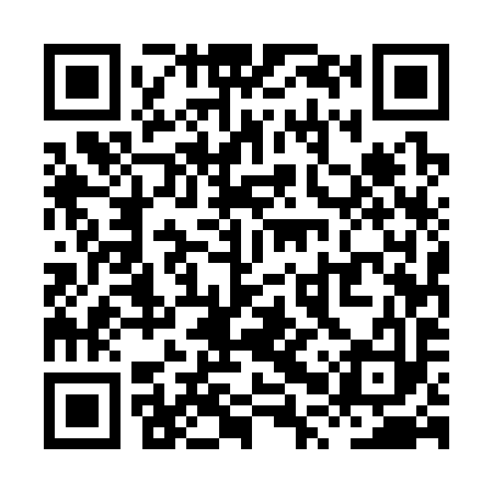 QR code for XPU393