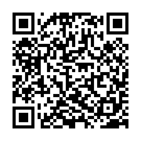 QR code for XPV095