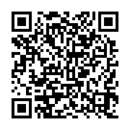 QR code for XRP313