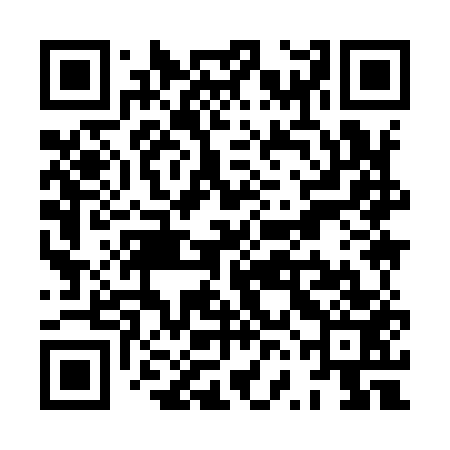 QR code for XVI953