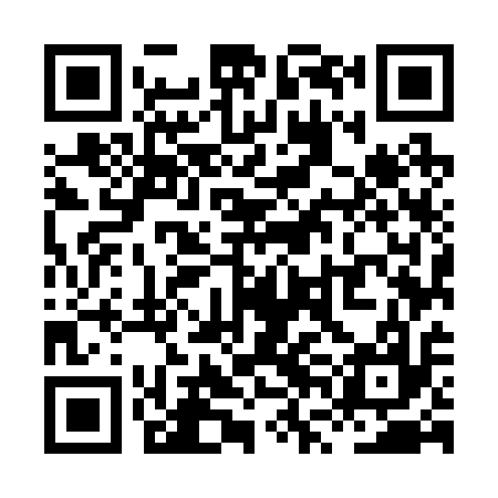 QR code for XVM217