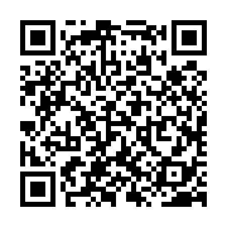 QR code for XVR538