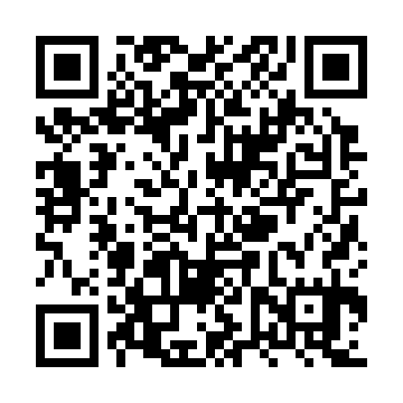 QR code for XVZ335