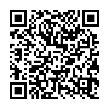 QR code for XYG333