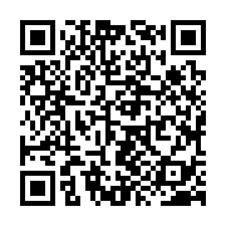 QR code for XYJ339