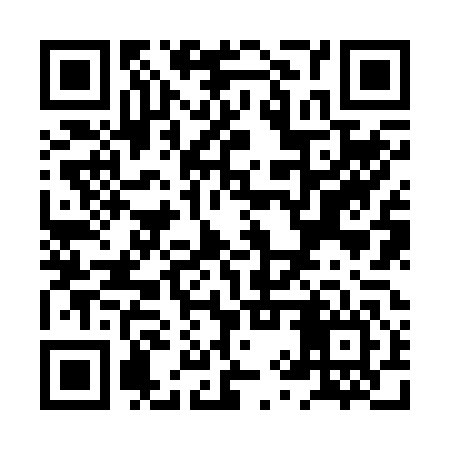 QR code for XYZ246